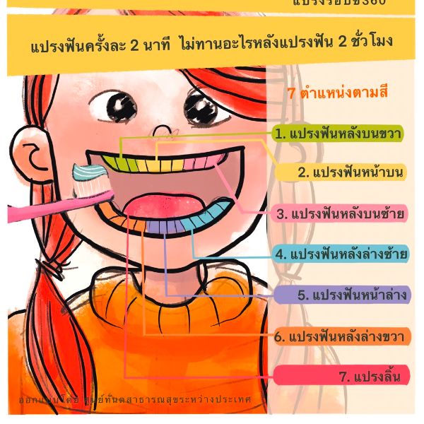 แปรงฟัน 7 ขั้นตอน สะอาดทุกที่แบบไม่มีพลาด แปรงรอบซี่ 360